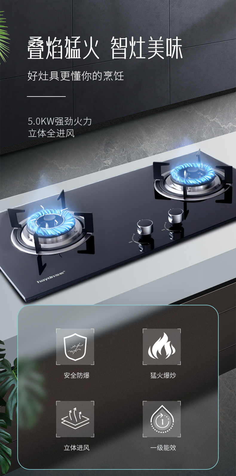 灶具--HB206_01.jpg